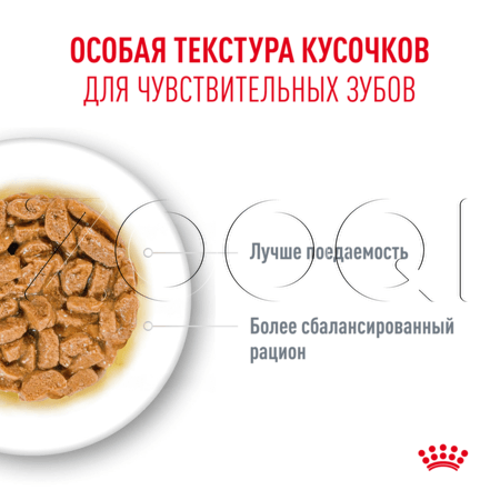 Пауч Royal Canin Ageing 11+ для кошек (кусочки в желе), 85 г