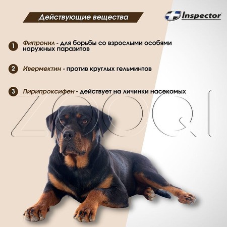 Инспектор Ошейник для крупных собак, 75 см