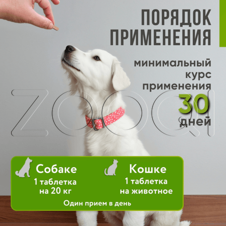 ХондроНео для кошек и собак, 30 табл