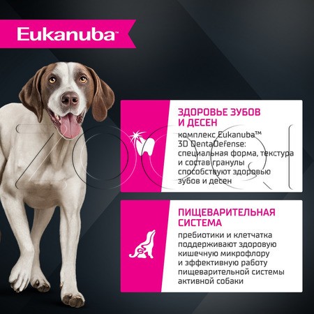 Корм Eukanuba для собак (ягненок)