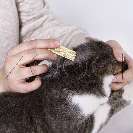 Барс Форте Капли инсектоакарицидные для котят, 3 пипетки