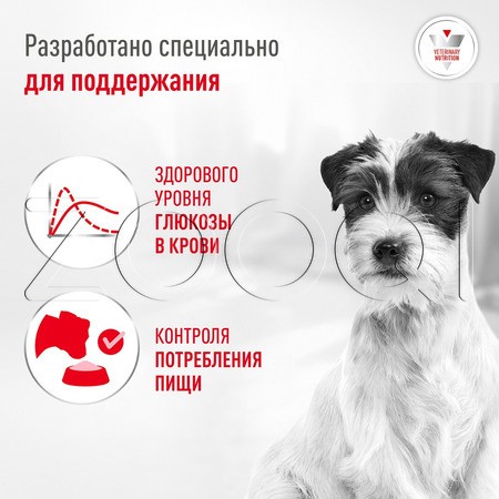 Корм Royal Canin Glycobalance Small Dogs для собак (мясо)