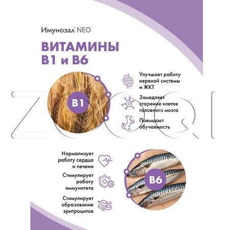 Имунозал NEO для средних и крупных собак, 6 табл