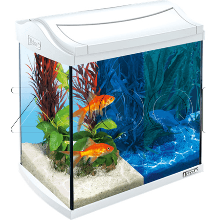 Tetra Аквариумный комплект для золотых рыбок AquaArt LED Goldfish white, белый 30л