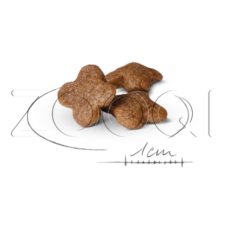 Корм Royal Canin Mini Adult 8+ для собак (курица), 2 кг