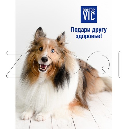 DOCTOR VIC Шампунь-кондиционер для длинношерстных собак, 250 мл