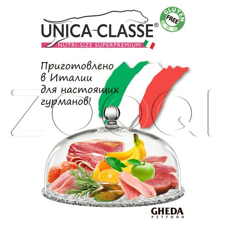 Unica Classe Mini Tonic с лососем для собак мелких пород