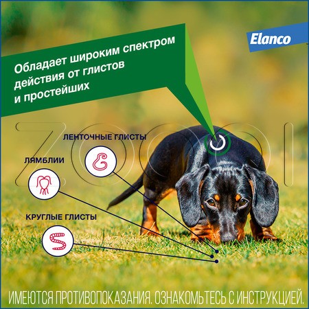 Дронтал Плюс Антигельминтик для собак, 6 таб