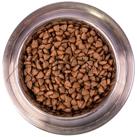 Корм Monge Dog Speciality Line Monoprotein Mini Adult для собак (ягненок, рис, картофель)