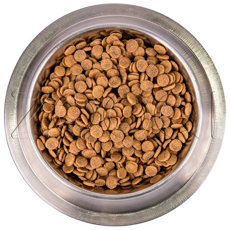 Корм Monge Cat Bwild Grain Free Adult для кошек (лосось)