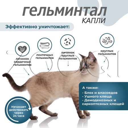 Гельминтал К Spot-on Капли для кошек
