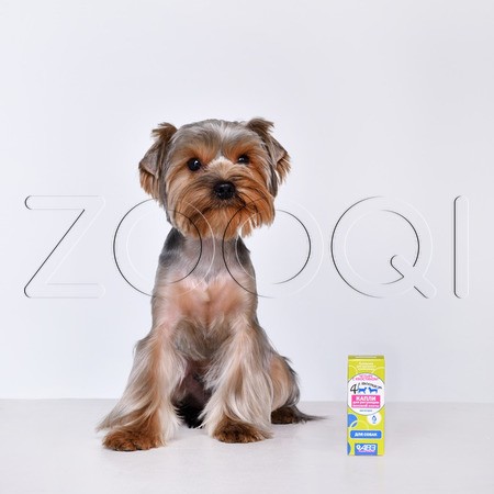 Четыре с хвостиком Капли для собак, 5 мл