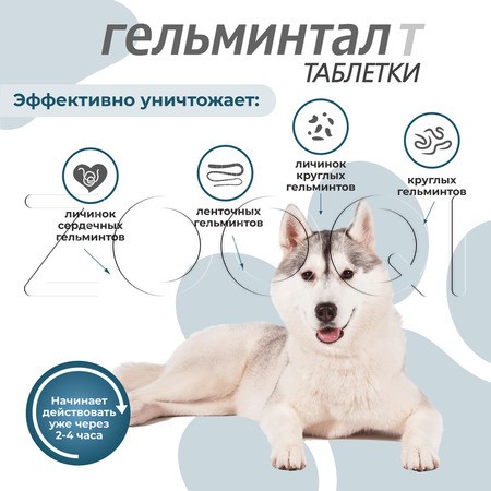 Гельминтал Т Таблетки для щенков и собак, 2 табл