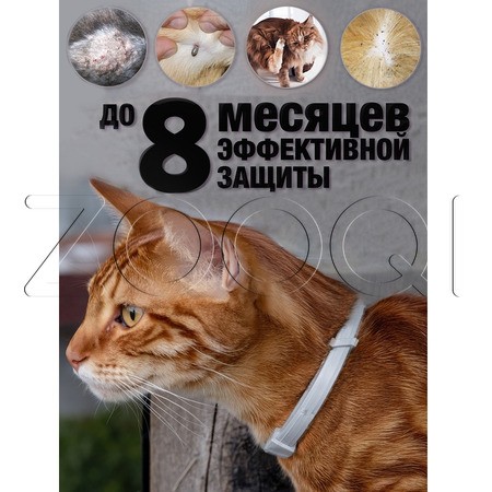 РольфКлуб 3D Ошейник для кошек, 40 см