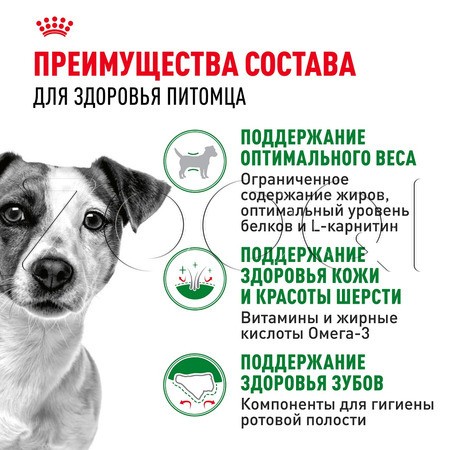 Royal Canin Mini Adult