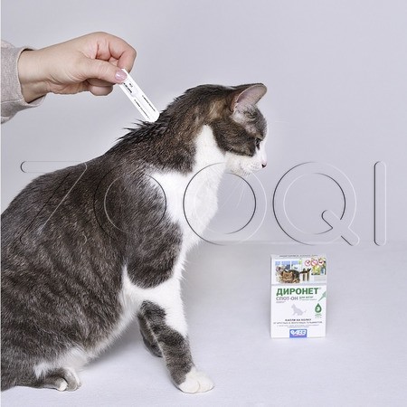 Диронет Спот-Он Капли для котят, 3 пипетки