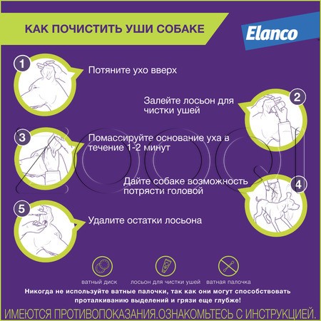 Нептра Ушные капли для собак (2 тюбика)