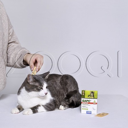 Барс Форте Капли инсектоакарицидные для котят, 3 пипетки