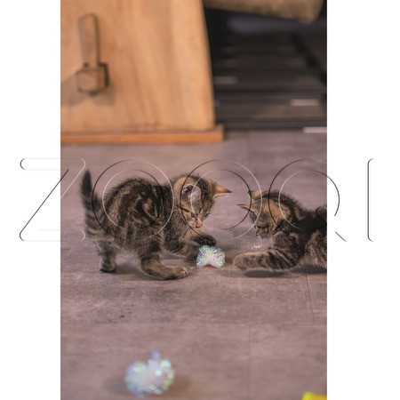 Beeztees Игрушка Шуршащие шарики «Evy» для котят, 4 шт