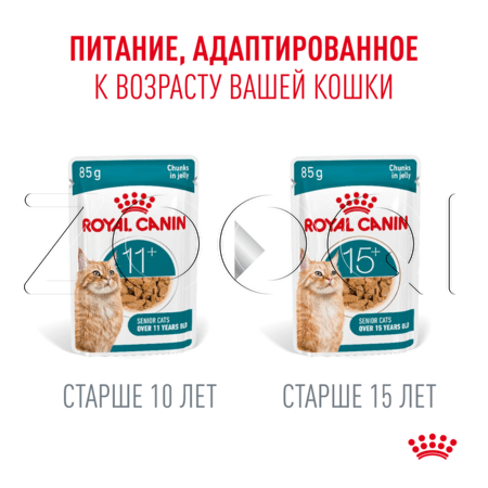 Пауч Royal Canin Ageing 11+ для кошек (кусочки в желе), 85 г