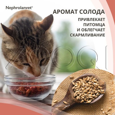 Нефроланвет Паста для кошек и собак, 75 г