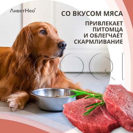 ЛиветНео для средних и крупных собак, 100 мл