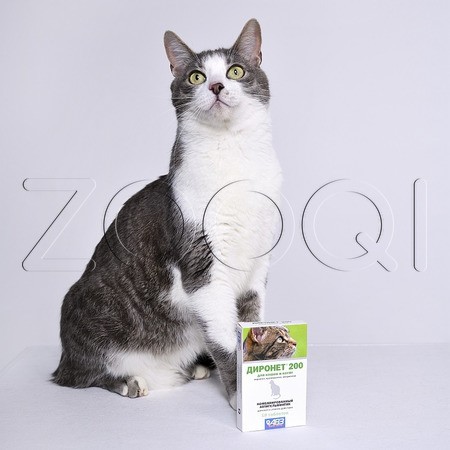 Диронет 200 Таблетки для кошек и котят, 10 табл