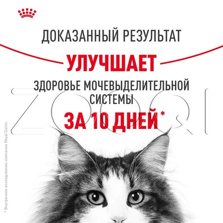 Пауч Royal Canin Urinary Care для кошек (мелкие кусочки в соусе), 85 г