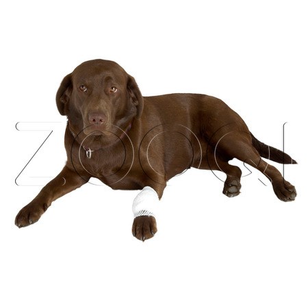 BUSTER Бинт эластичный трубчатый, белый