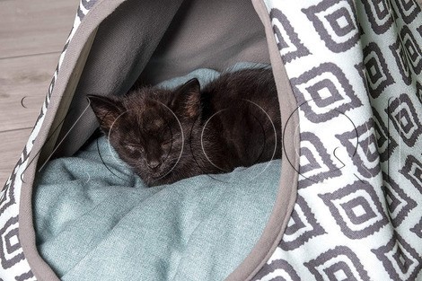 Karlie Tipi Палатка для кошек