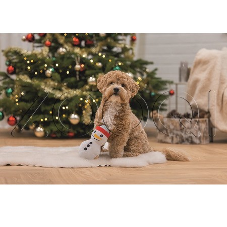 Beeztees Игрушка «Рождественский снеговик» для собак, 23 см