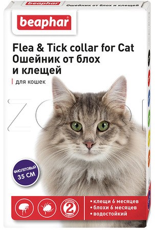 Ошейник для кота от блох и клещей (фиолетовый)