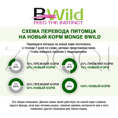 Паштет Monge Cat BWild Grain Free Kitten для котят и крупных кошек (буйвол, овощи), 100 г