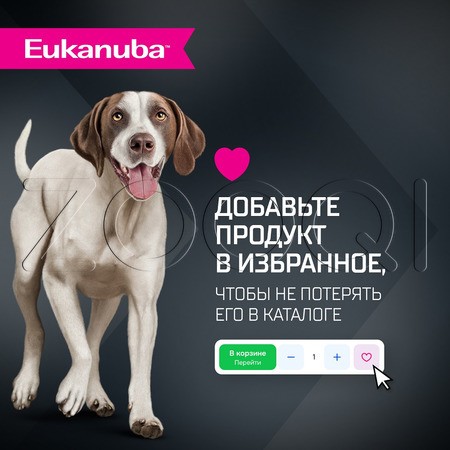 Корм Eukanuba для собак (ягненок)