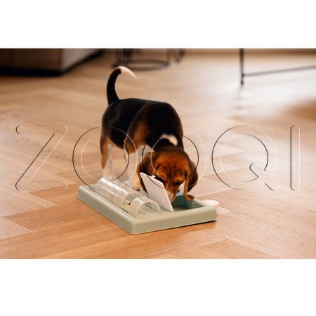 Beeztees Головоломка RIFF для щенка, 35 x 21,5 x 7 см