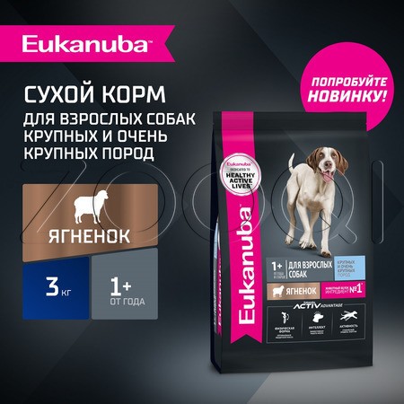 Корм Eukanuba для собак (ягненок)