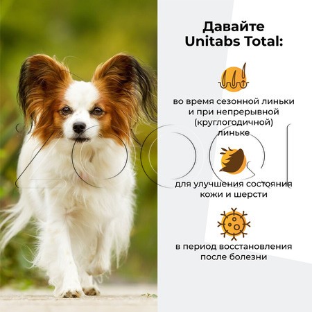 Unitabs Тотал для собак, 50 мл
