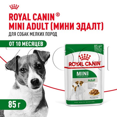 Royal Canin Mini Adult (мелкие кусочки в соусе), 85 г