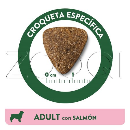Libra Dog Adult Salmon для взрослых собак всех пород (лосось)