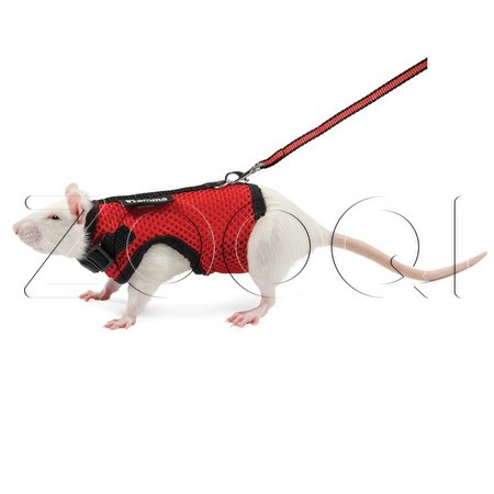 Gamma Комплект шлейка и поводок для крысы "Лариска"