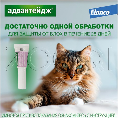 Адвантейдж Капли для котят и кошек