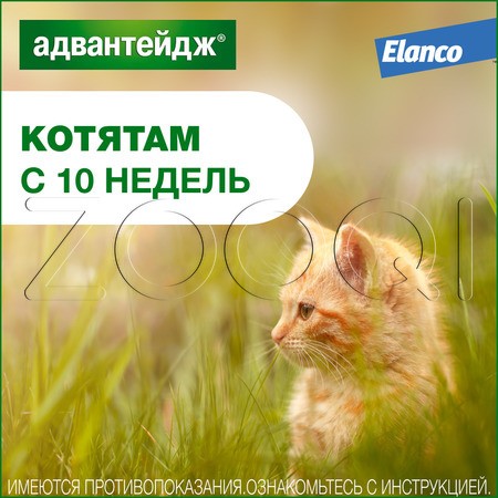 Адвантейдж Капли для котят и кошек