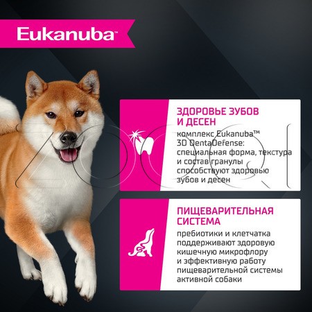 Корм Eukanuba для собак (ягненок)