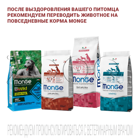 Корм Monge VetSolution Dog Joint Mobility для собак (лосось)