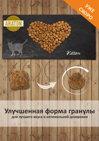Araton Kitten для котят