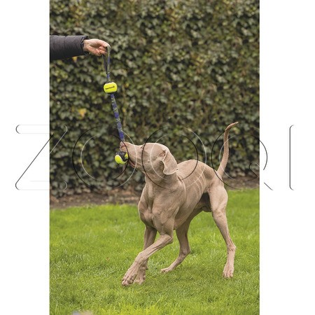Beeztees Игрушка «Теннисные мячи со шнурком» для собак, 44 см