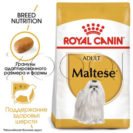 Royal Canin Maltese Adult