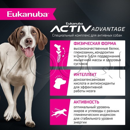 Корм Eukanuba для собак (ягненок)