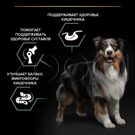 Purina Pro Plan Sensitive Digestion Medium Adult для взрослых собак средних пород (ягненок)