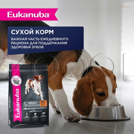 Пауч Eukanuba Adult 1+ years Lamb для собак (ягнёнок в соусе), 100 г